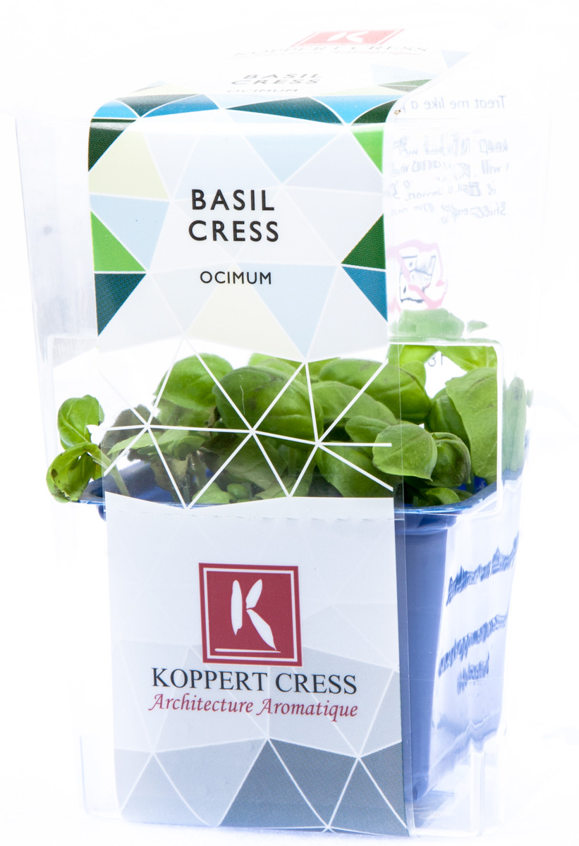 Řeřicha Bazalka čerstvá 1 ks uzavřená vanička