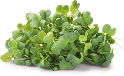 Řeřicha Daikon (uzavřená) čerstvá 1 ks 