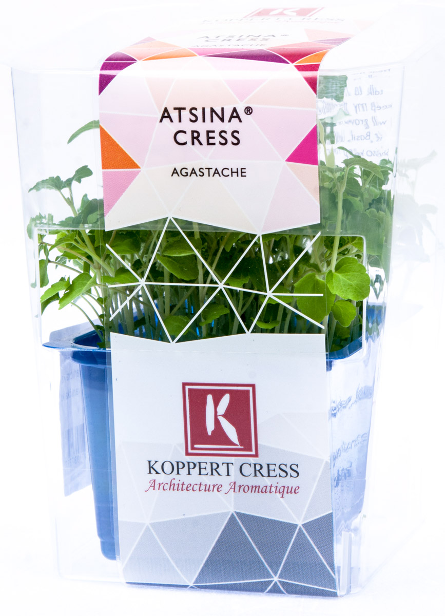 Řeřicha Dulci mix čerstvá 1 ks uzavřená vanička