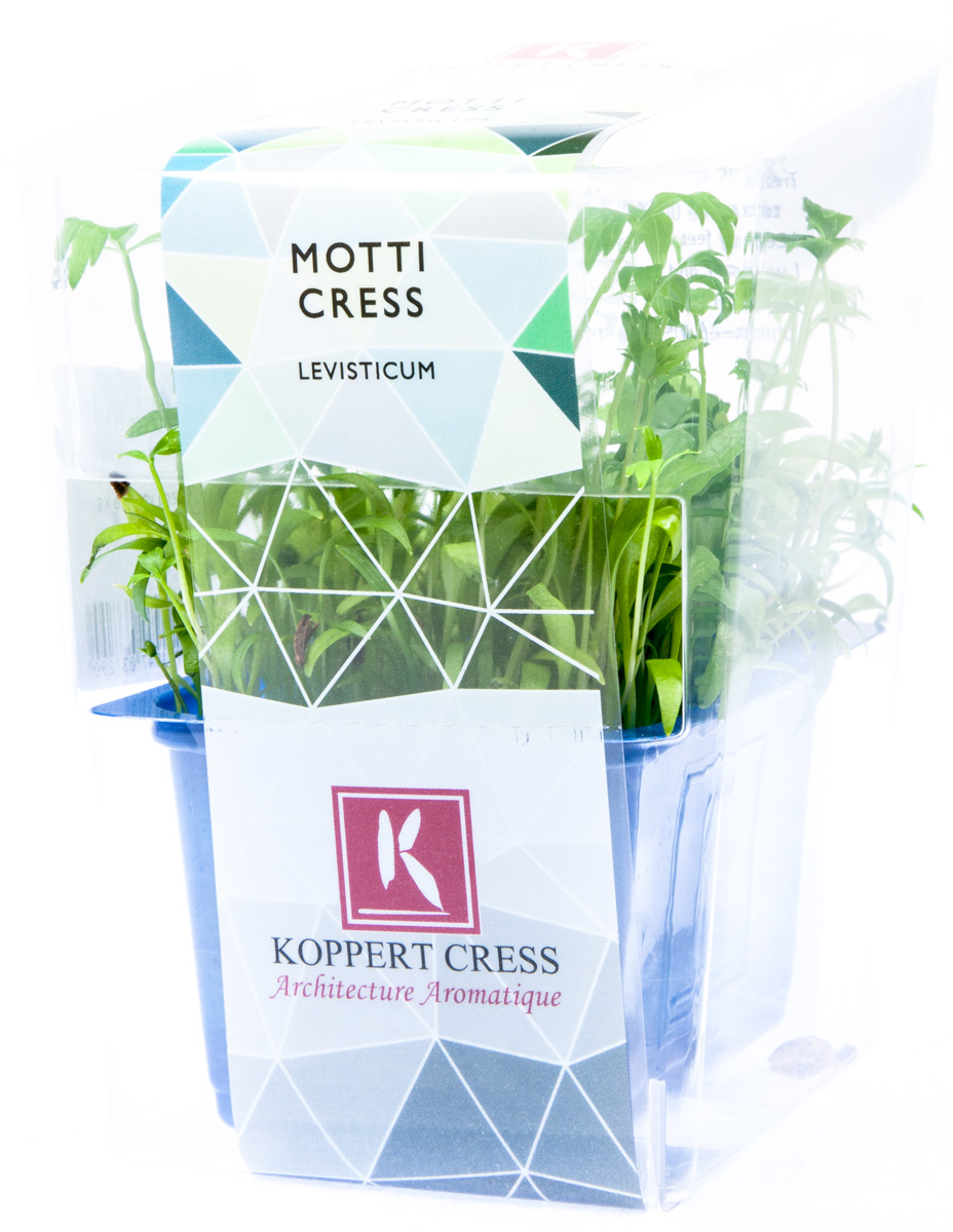 Řeřicha Motti čerstvá 1 ks uzavřená vanička