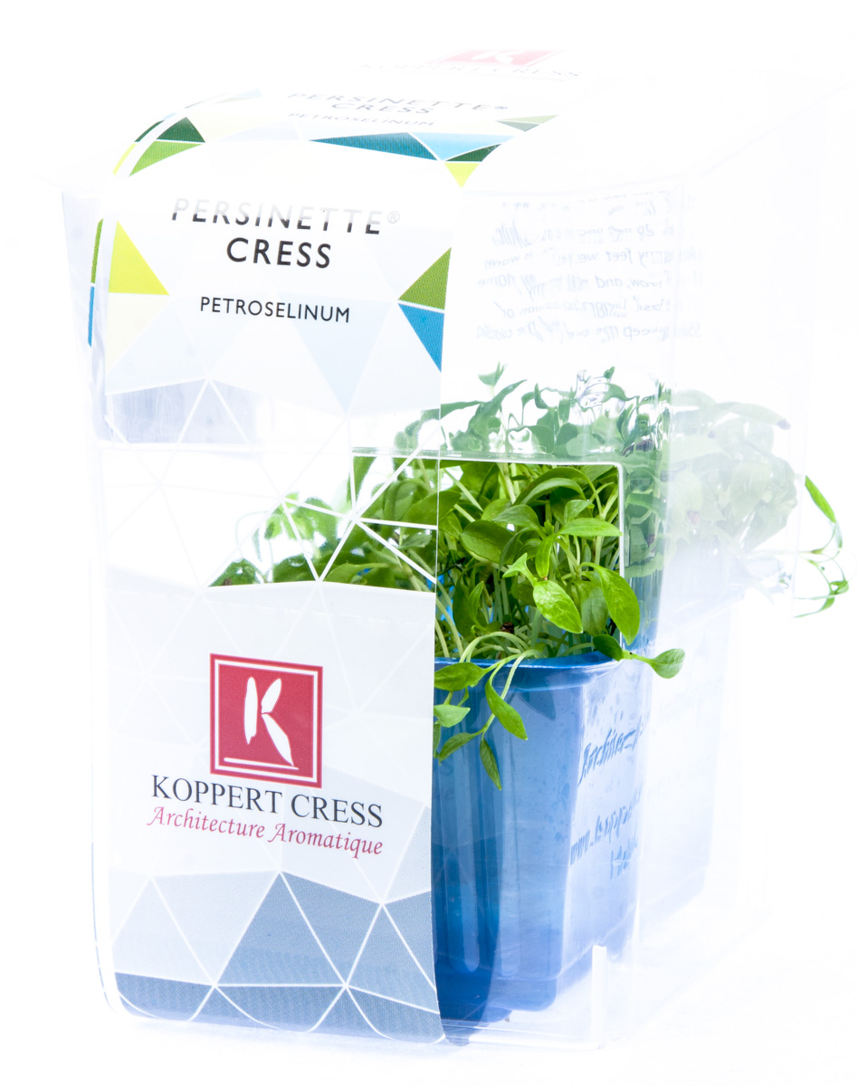 Řeřicha Persinette čerstvá 1 ks uzavřená vanička