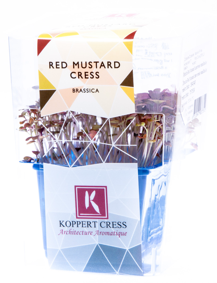 Řeřicha Mustard červená (uzavřená) čerstvá 1 ks