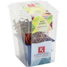 Řeřicha Adji čerstvá 1 ks