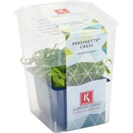 Řeřicha Persinette čerstvá 1 ks