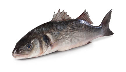 Vlk mořský bez šupin chlaz. váž. cca 350 - 550 g