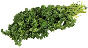 Petržel kadeřavá CZ čerstvá 1 kg sáček