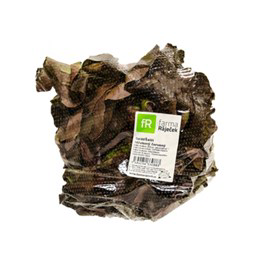 Salát hlávkový červený 180+ I. CZ čerstvý 1 ks