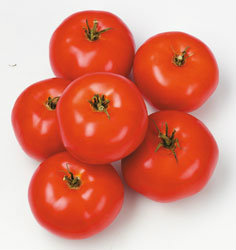 Rajčata masitá I. čerstvá 500 g