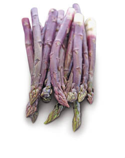 Chřest fialový 12/20 ES čerstvý 400 g svazek