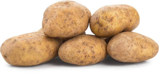 Brambory Agria čerstvé 10 kg síť