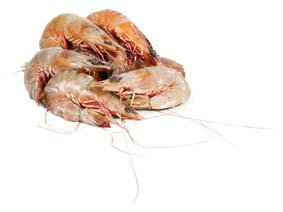 Krevety celé nevařené 10/20 chlaz. váž. cca 500 g