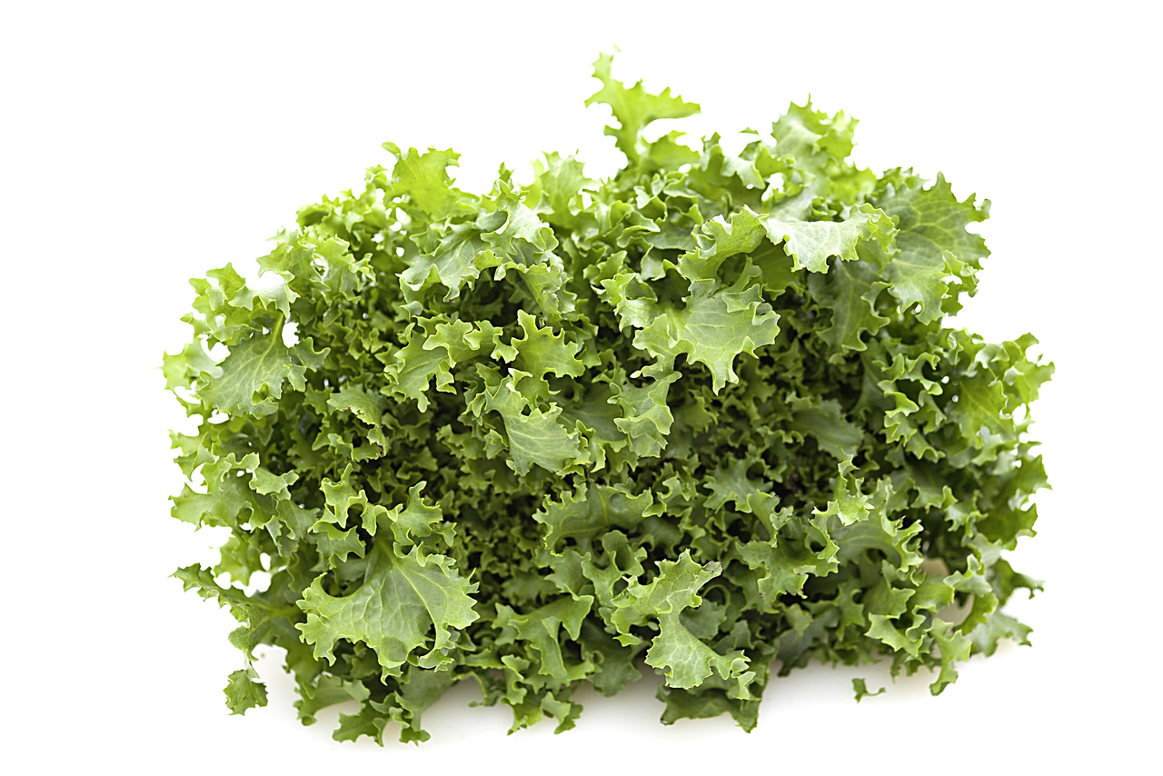 METRO Chef Salát Frisée I. CZ čerstvý 1 ks