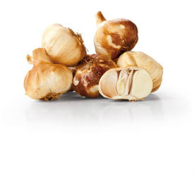 Česnek uzený čerstvý 1 kg