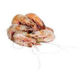 *KREVETY GAMBERO R. NEVAŘ. 10/20