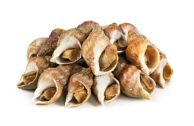 Surmovka vlnitá vařená chlaz. 1 kg