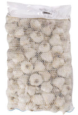 Česnek bílý Ras SK volně ložený čerstvý 5 kg