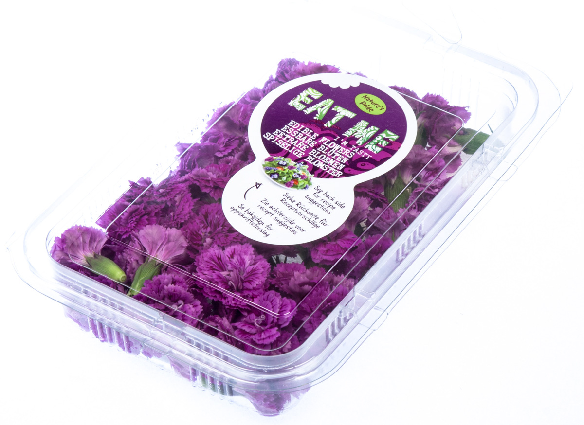 Jedlé květy Hvozdík chlaz. 40 g vanička