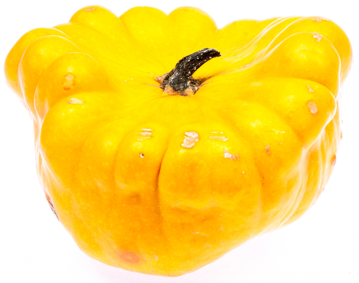 Patizon žlutý CZ čerstvý váž. cca 1 kg