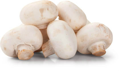 Žampiony na gril čerstvé 500 g/6-8 ks vanička