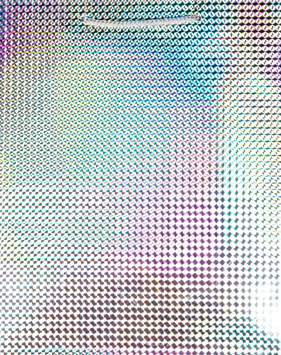 Flexio Taška dárková L208874 1 ks