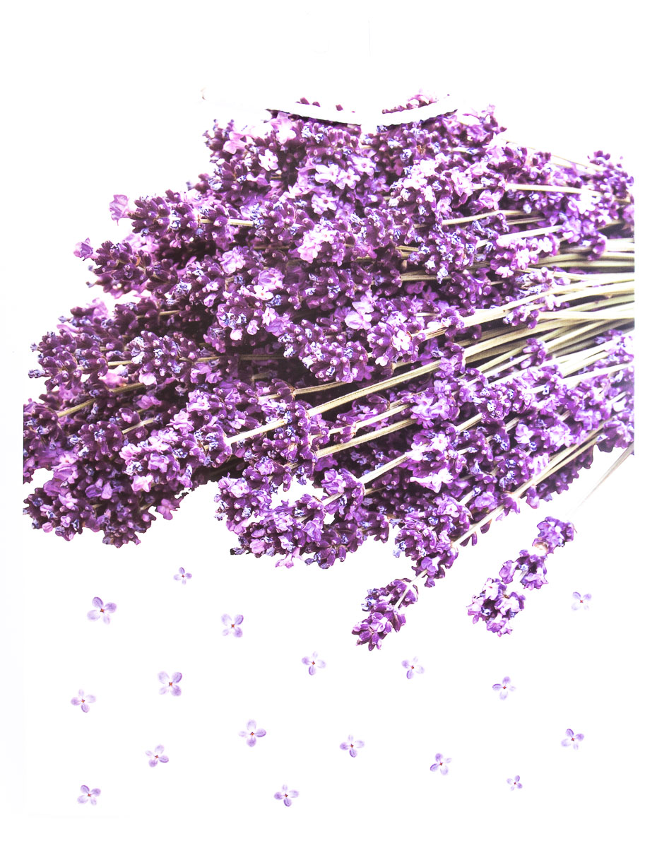 Flexio Taška dárková L209200 1 ks