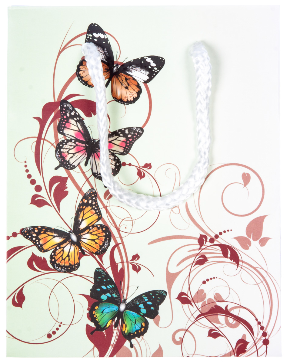 Flexio Taška dárková S208908 1 ks