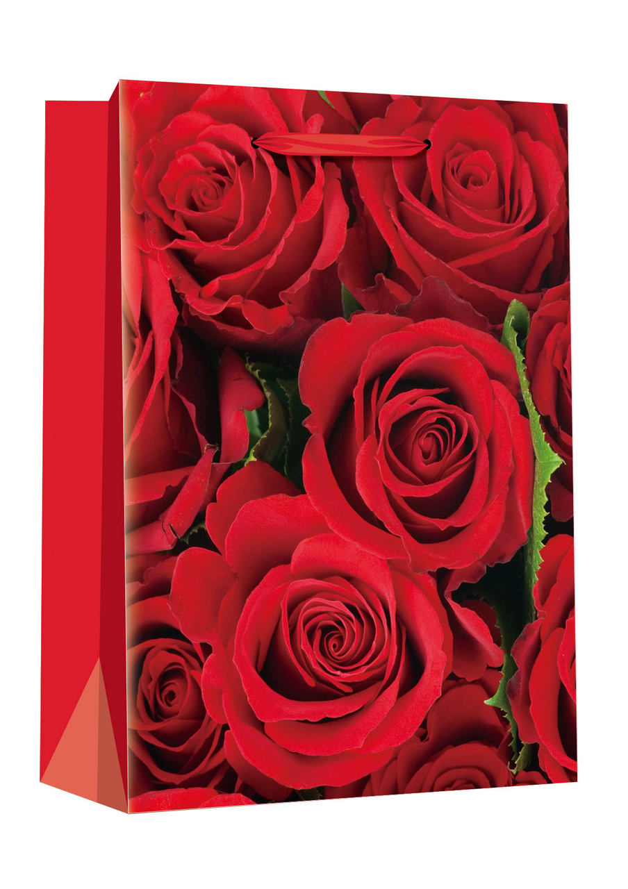 Flexio Dárková taška M - 208909 1 ks