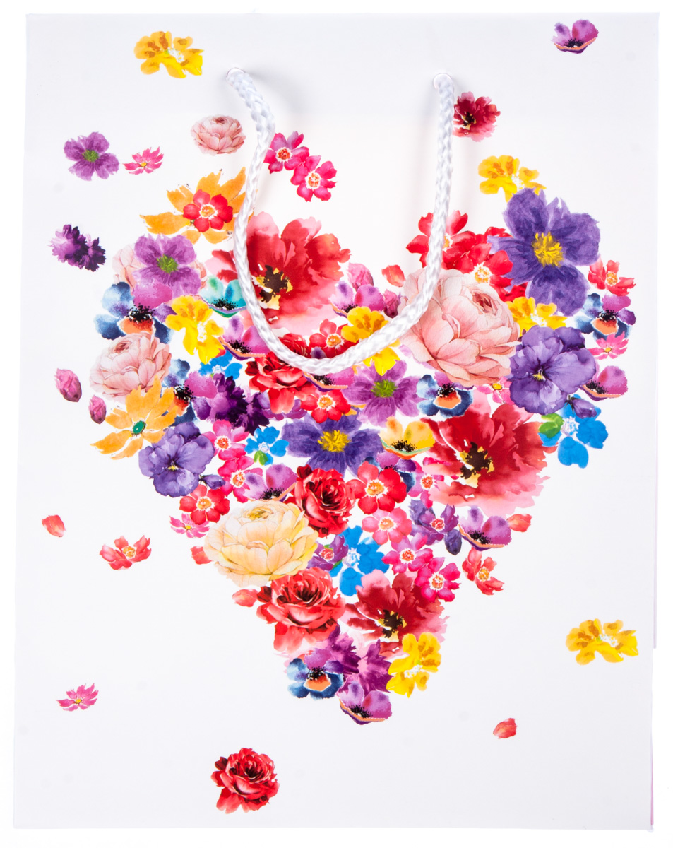 Flexio Taška dárková M208910 1 ks