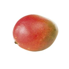 Mango Kent hard 350 g+ čerstvé 1 ks