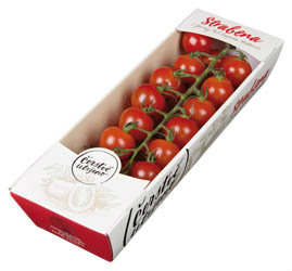 Rajčata Cherry podlouhlá Strabena CZ čerstvá 250 g vanička