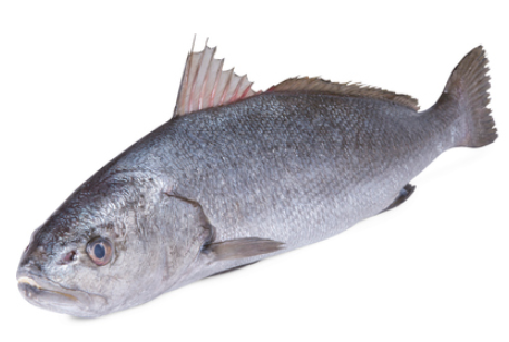 Smuha královská ASC chlaz. váž. cca 3 - 4 kg