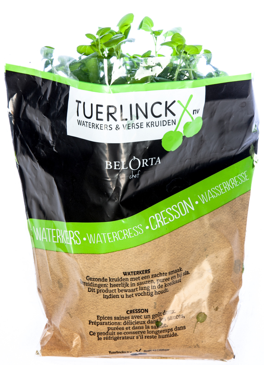 Řeřicha Potočnice NL čerstvá 1 ks