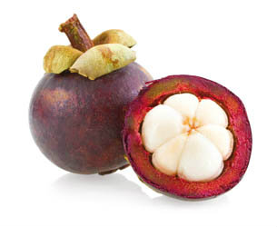 Mangostan čerstvý 2 kg