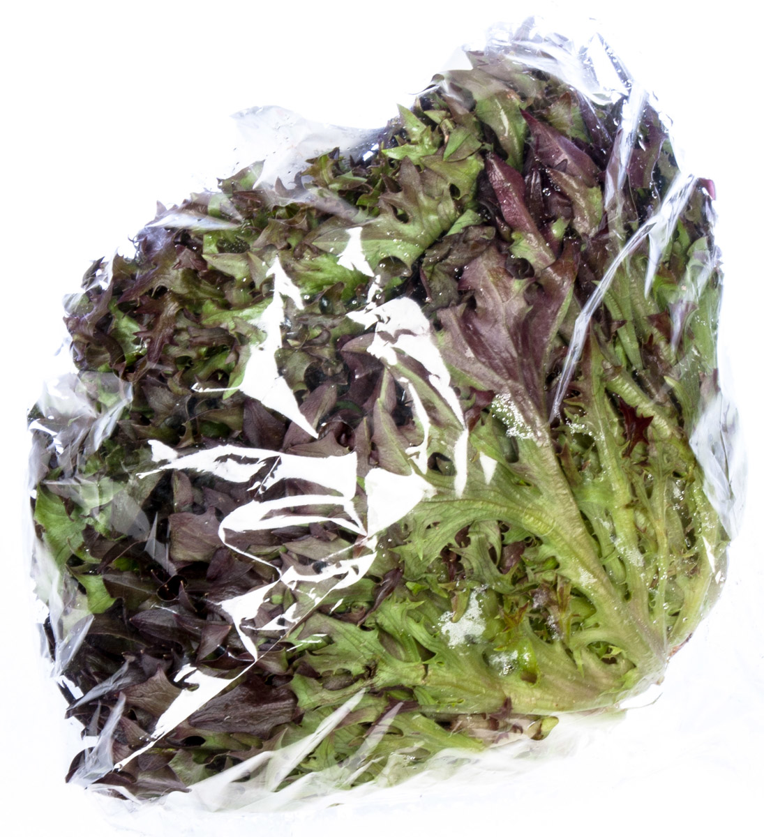 Salát Crispy Rosso CZ 150+ čerstvý 1 ks