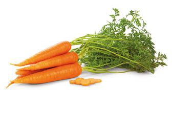 Mrkev s natí SK čerstvá 1 ks svazek