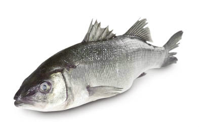 Vlk mořský chorvatský nekuchaný chlaz. váž. cca 600 - 800 g