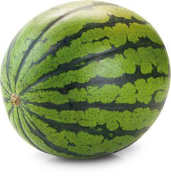 Meloun vodní Albánie čerstvý váž. cca 3 - 13 kg / ks