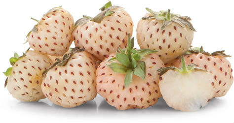 Jahody bílé čerstvé 100 g