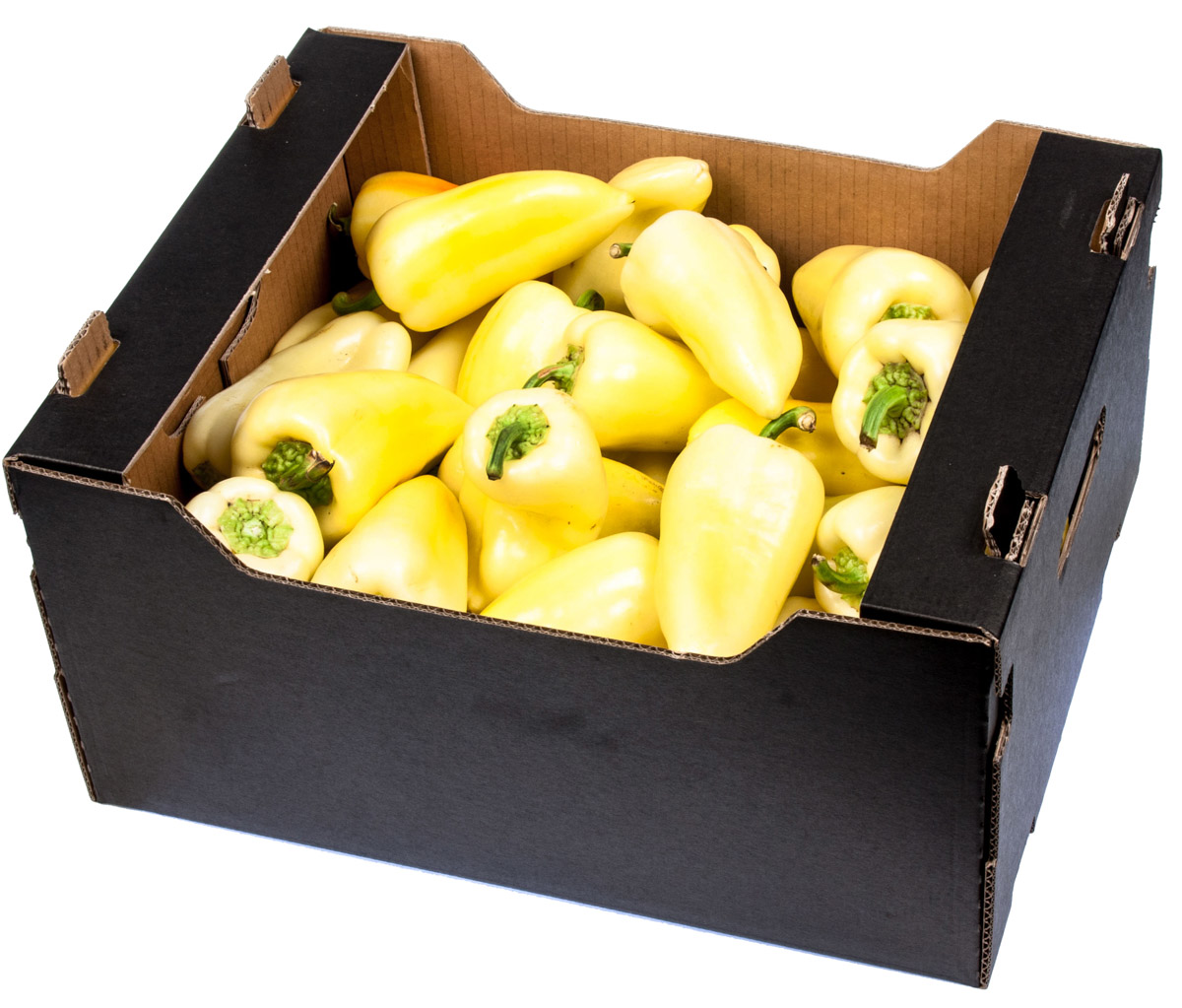 Paprika bílá 50-70 CZ čerstvá 5 kg karton