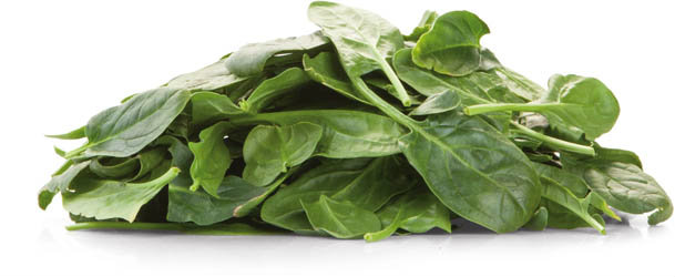 Špenát Baby nepraný čerstvý 125 g vanička