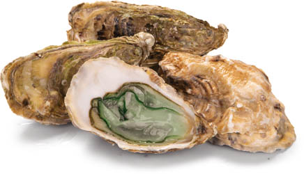 Ústřice velká Verte N°2 chlaz. váž. 24 ks