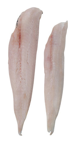 Štikozubec obecný filet s kůží chlaz. váž. cca 300 - 600 g