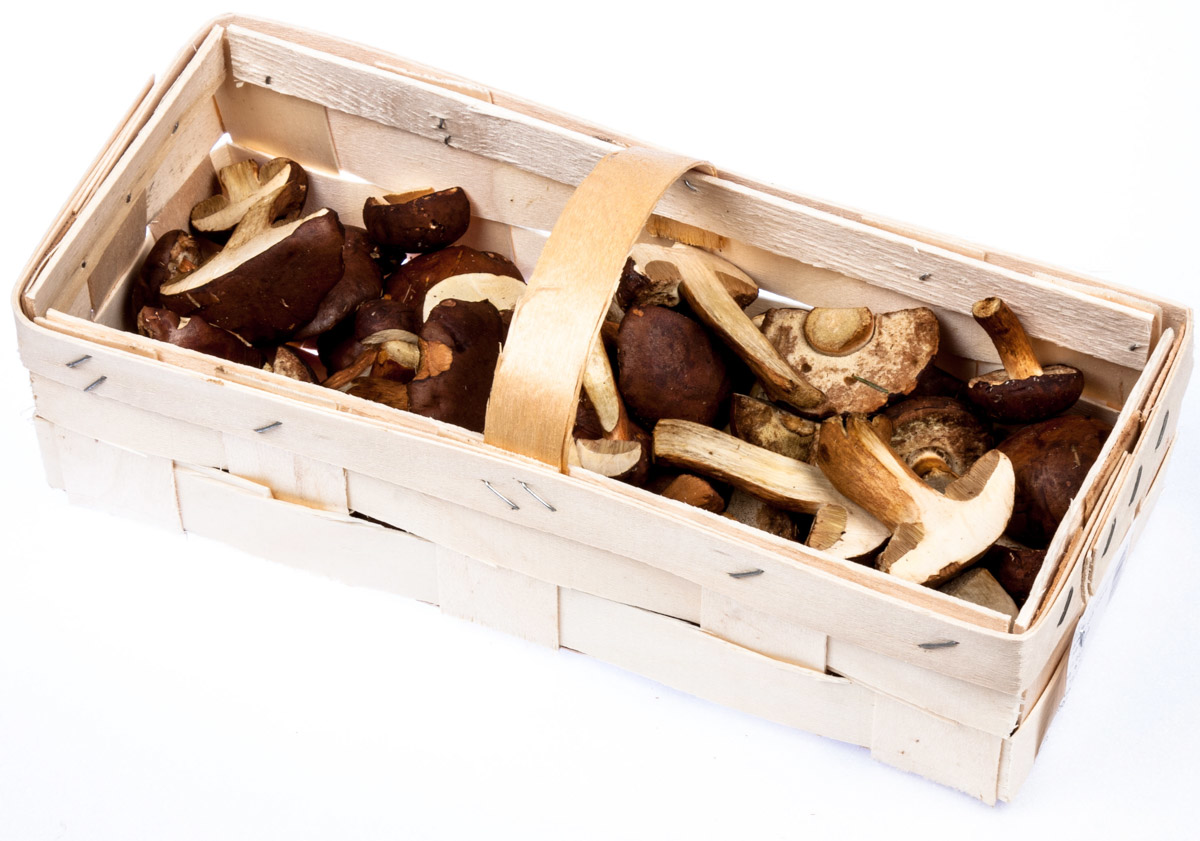 HOLOUBEK A PRAVNUCI Hřib hnědý PL krájený chlaz. 400 g koš