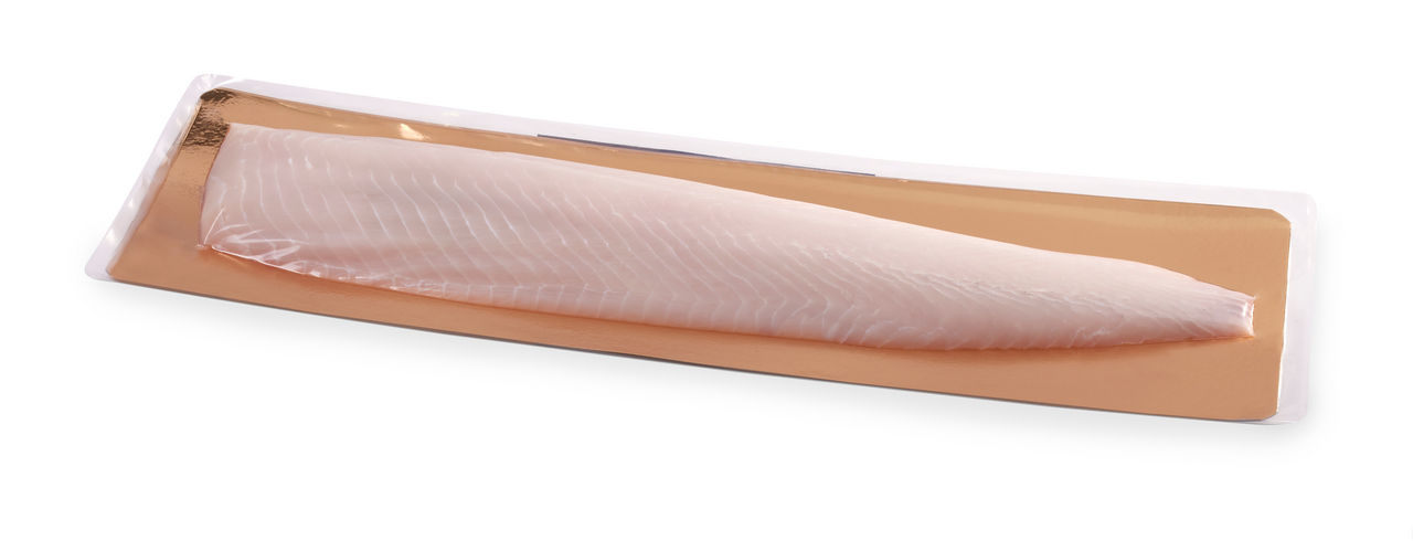 Jeseter bílý filet s kůží chlaz. váž. cca 1,5 - 2,5 kg