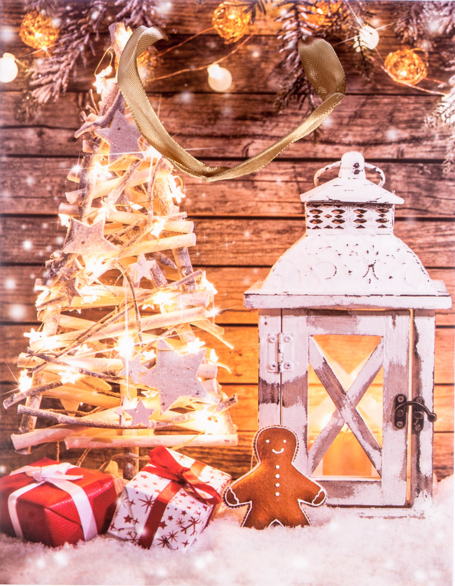 Flexio Taška dárková Xmas M 209901 1 ks