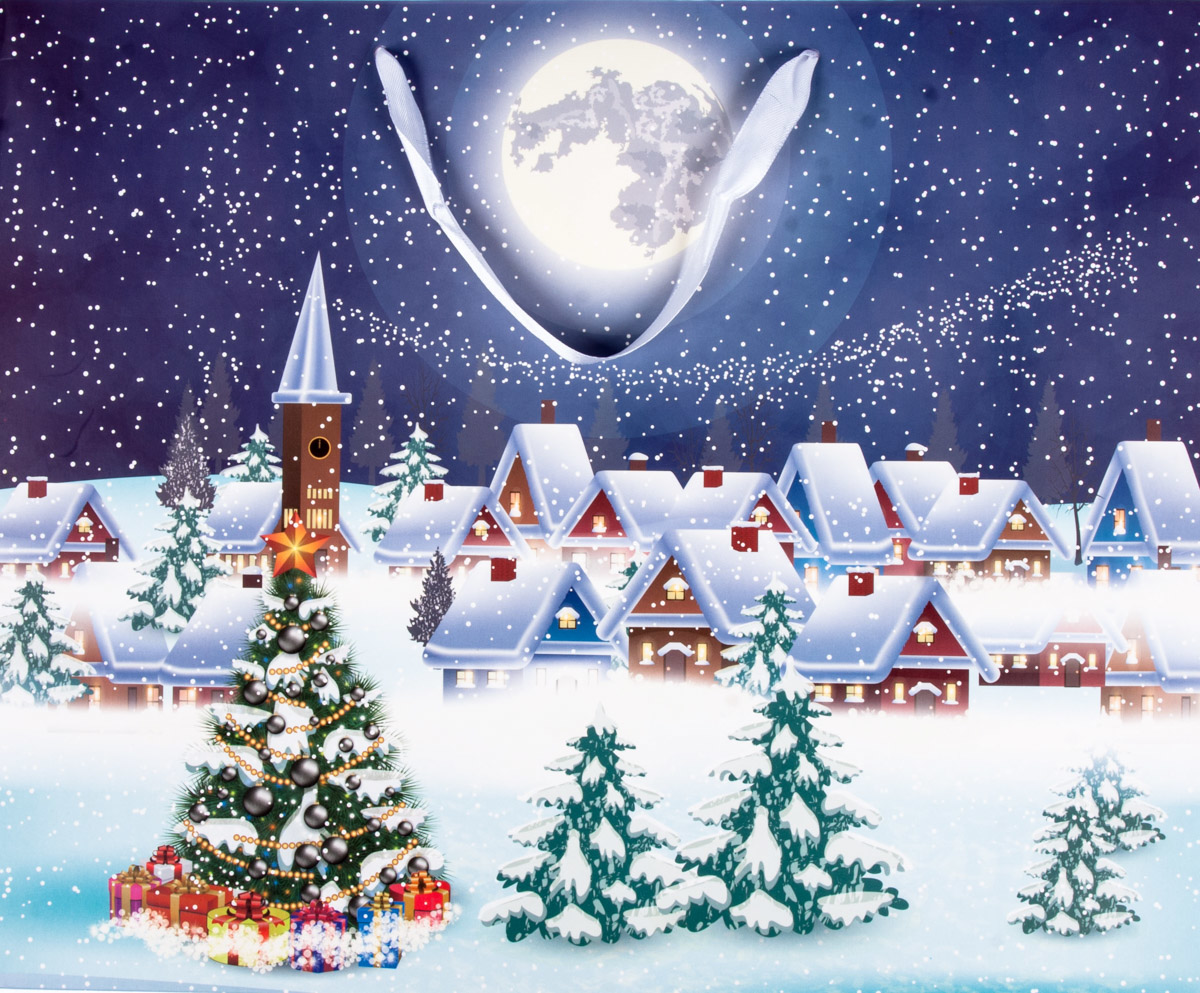 Flexio Taška dárková Xmas SW 209904 1 ks