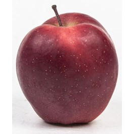 Jablka Gloster 75/80 I. CZ čerstvá 3 kg