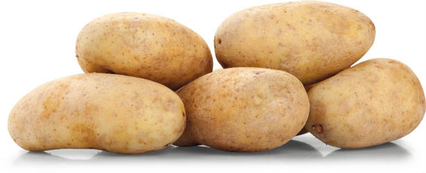 Brambory pozdní konzumní Laureate. FR čerstvé 1 kg