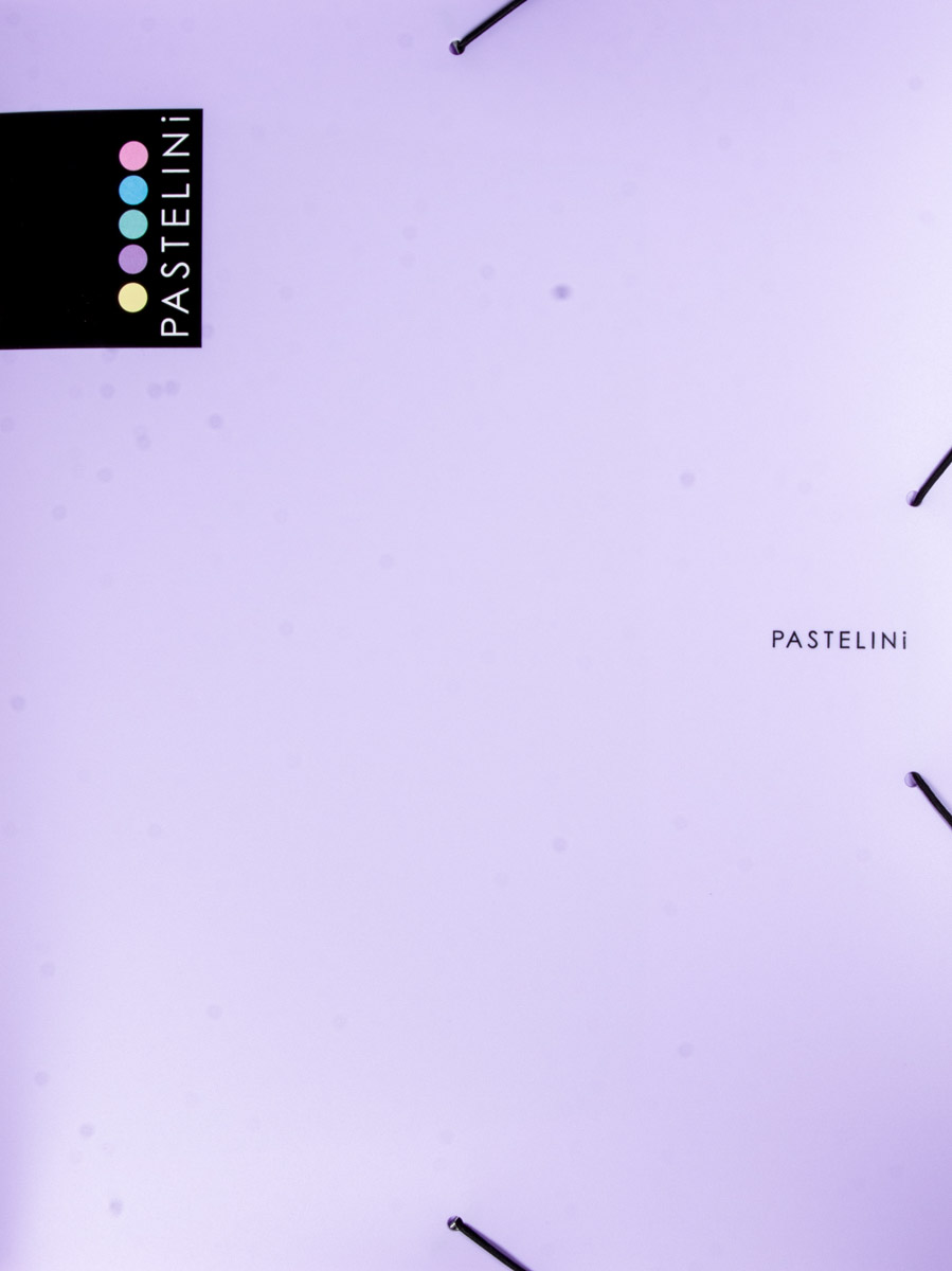 KARTON P+P Box na spisy Pastelini KPP fialový 1 ks