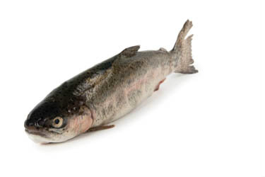 Pstruh duhový kuchaný 200-250 g mraž. 5 kg